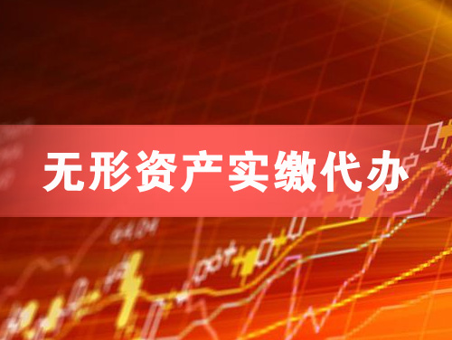 瑞丽无形资产实缴资本代办