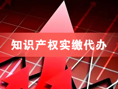 瑞丽知识产权实缴资本代办